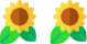 2 Girasoli